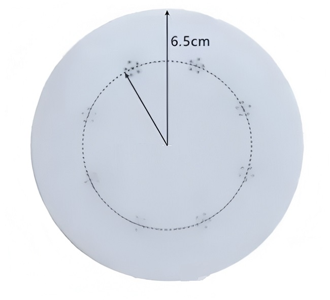 乳腺CBCT模體2 乳腺CBCT模體2