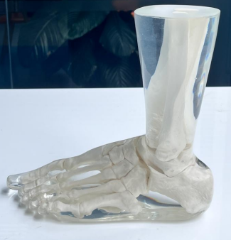 1754624136326 1754624136326